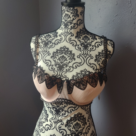 3 Piece Pink Scalloped Lingerie Set NWT - Picture 7 of 9